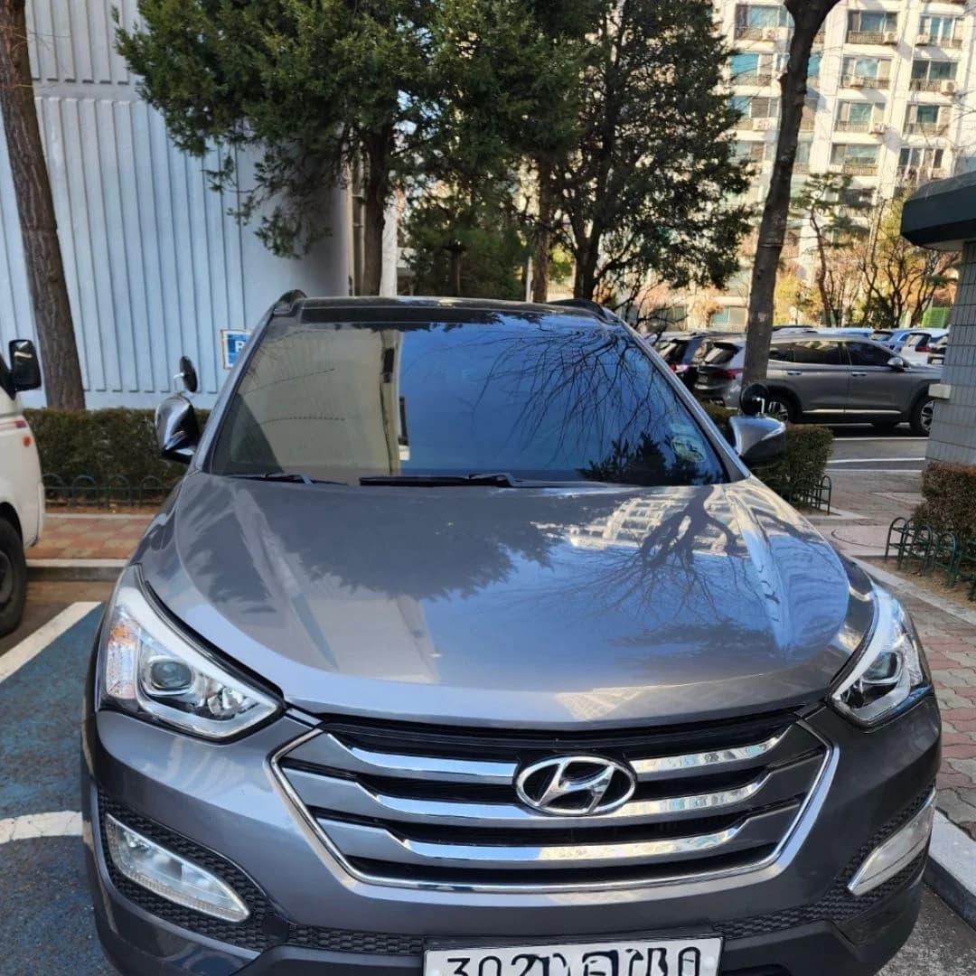 싼타페 DM 최영*님